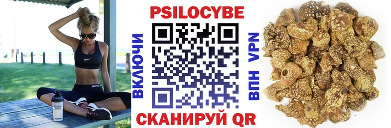 Псилоцибиновые грибы Magic Shrooms  цена   OMG как зайти  Билибино 